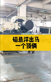 磁懸浮出馬，一個(gè)頂倆！